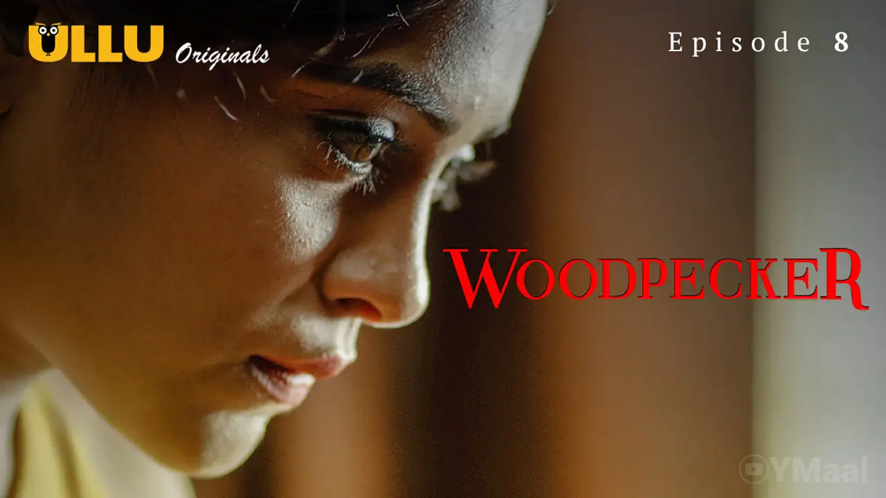 Woodpecker Episode 8